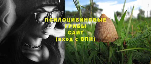 spice Козловка