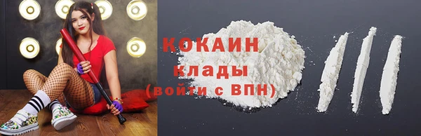 стаф Коряжма