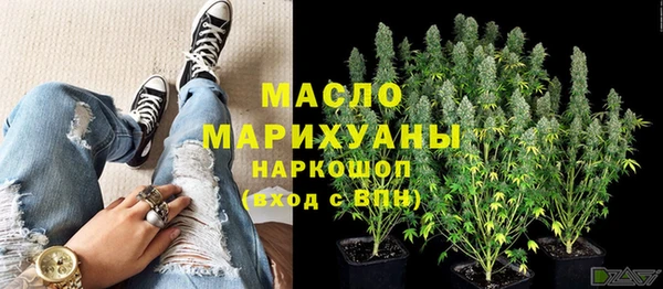 шишки Корсаков