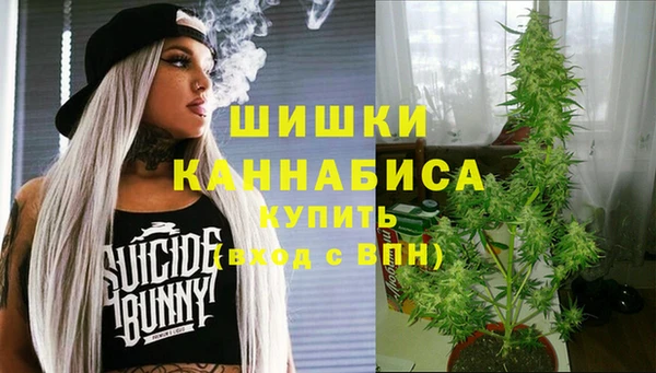 стаф Коряжма
