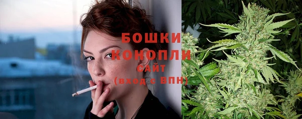 Альфа ПВП Козельск