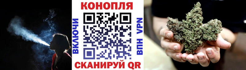 Купить где  Сорск  Каннабис план 